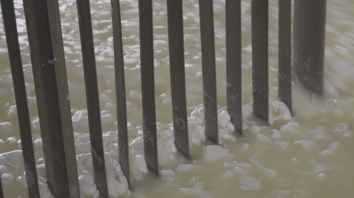 Genuine Fulvi® Pecorino Romano DOP