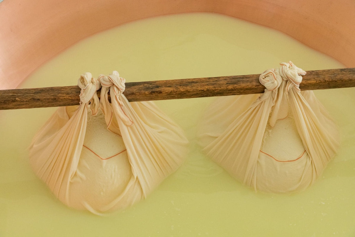 Parmigiano Reggiano DOP Mitica® Di Sola Bruna